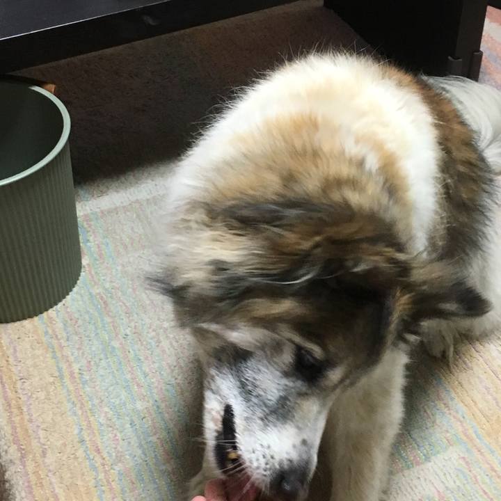 0b2cde87 6cb5 46b0 b54c a78b15791a64