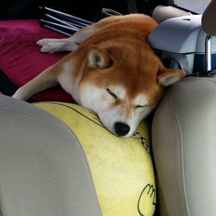 0b2d0d16 0fd8 463e 86a2 c0bfec7eb9a0