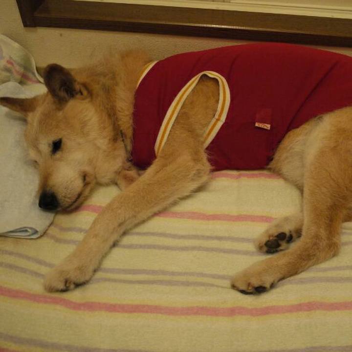 0b2d55a6 1762 496b b21a add54c973f45