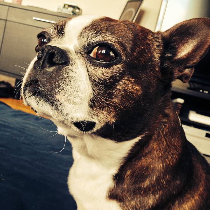 0b2dabdf c074 4956 b5cb a322a41cac71