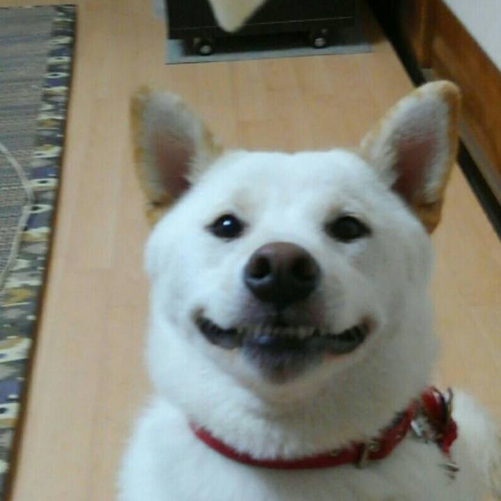 0b3039a0 b50e 4fe6 aebf 02684dcc84f8