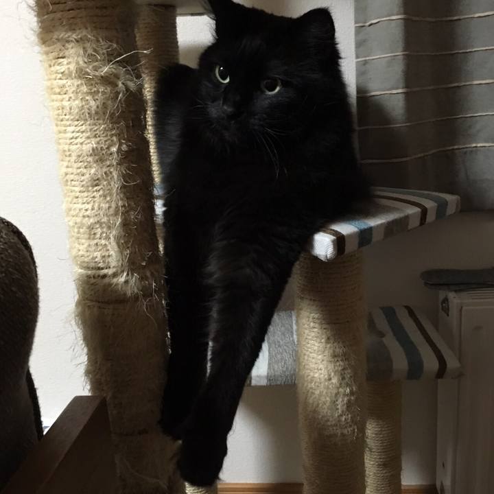 0b30843c d635 4ec2 abe1 6ad497e4c35b