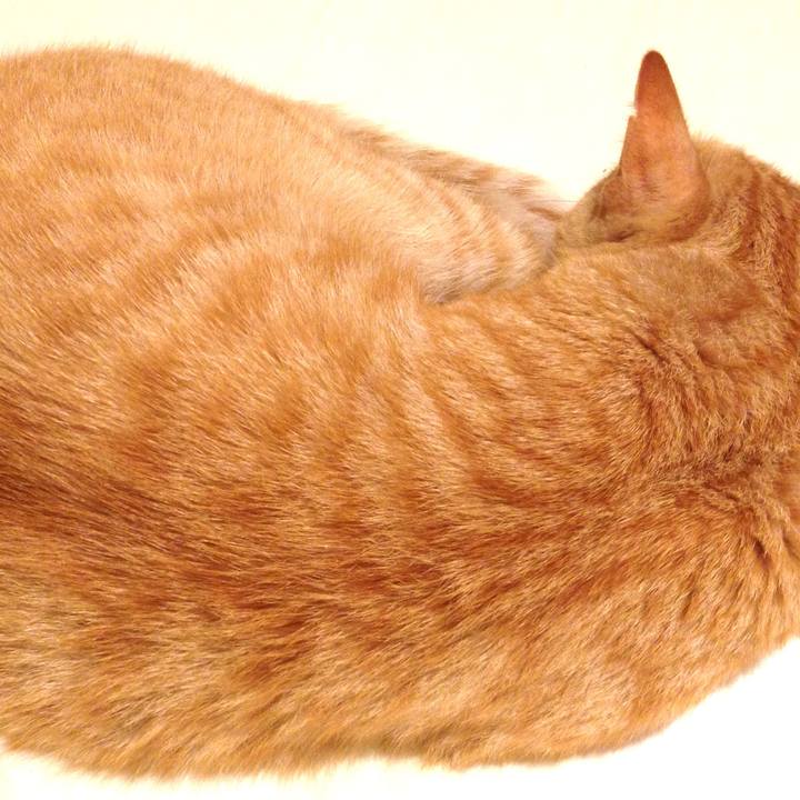 0b30c70b f1fa 4697 8efb dc592fabfedc