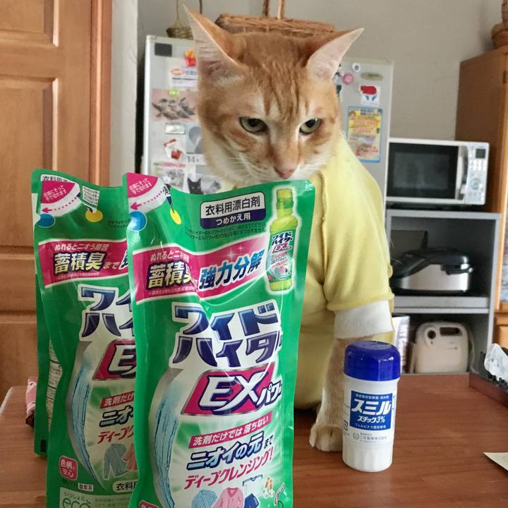 0b3215d1 cfe1 45be 82cc d4d347c3e471