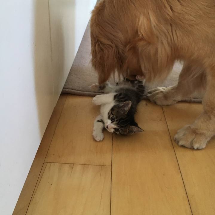 0b324ef3 6c05 4a89 94ec c1d475d0ee18