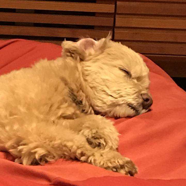 0b32a2fd 75e2 453f ab14 c2f99190d136