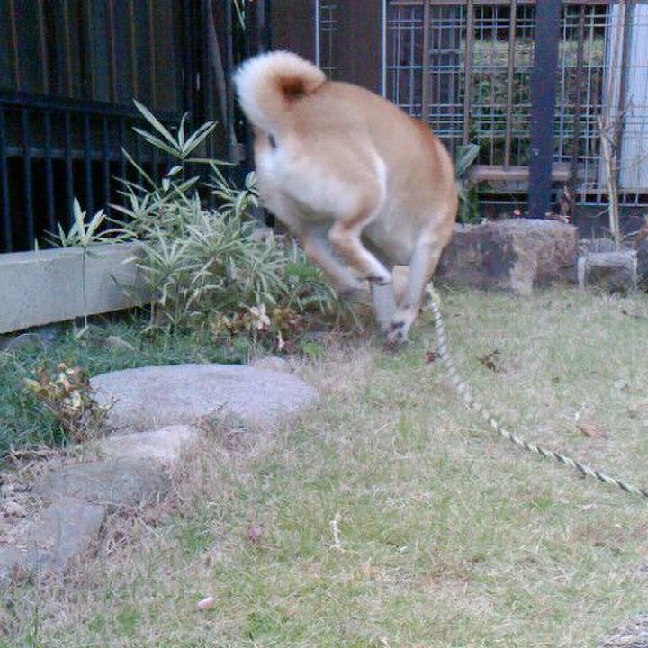 0b32a549 37cf 4923 9716 b293b9c1f3db