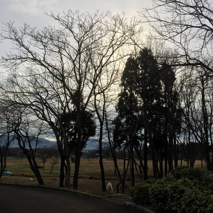 0b3509b7 b921 46ec 84a9 d904258c9460