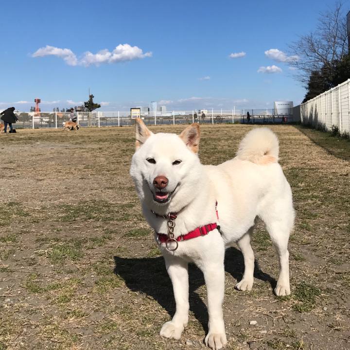 0b351ece 7eef 4795 aeba 7131f3691619