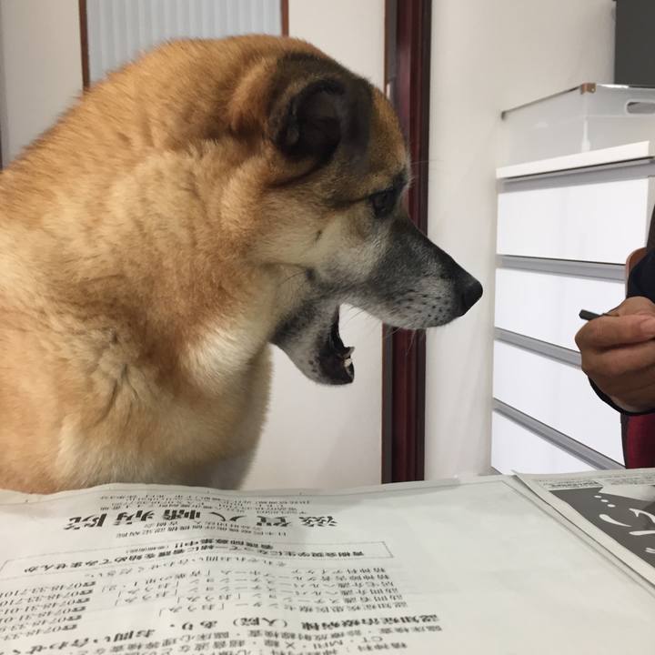 0b35289d 87cb 463d 82e7 7a4d73b9f8e3