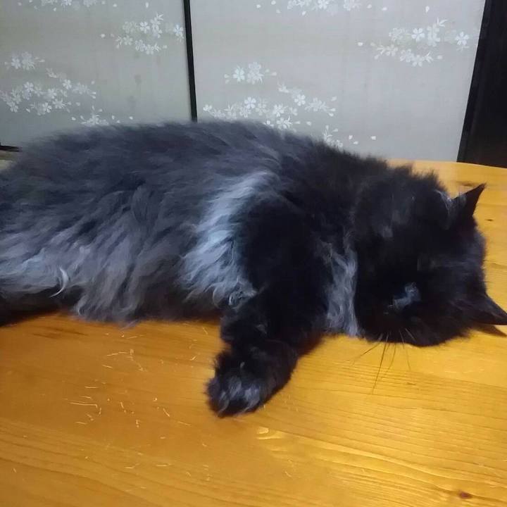 0b35718e 4f47 426f aff4 2c601a2fdcc4