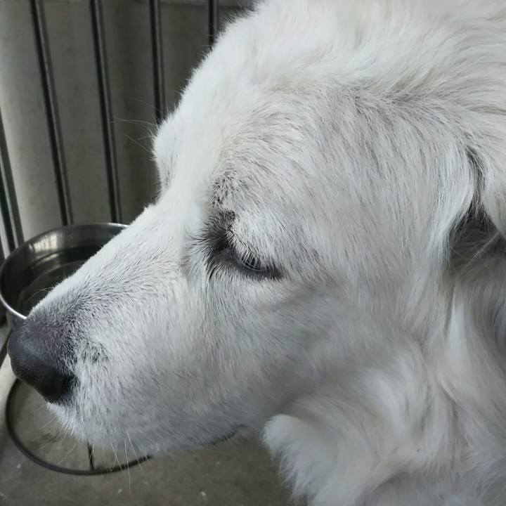 0b35e729 487b 44de aa6d c01a5ce01f5b