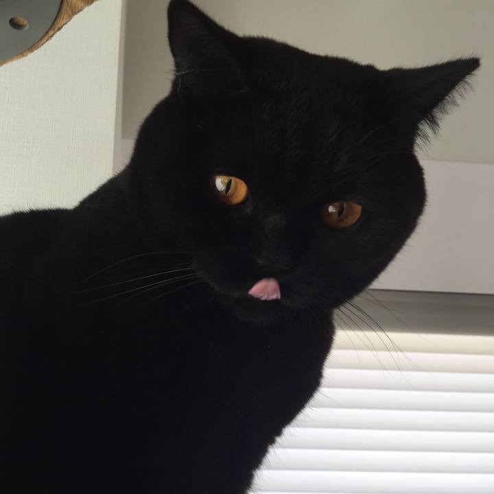 0b360053 e3c5 46ca 837a fe2eb0bbad5a