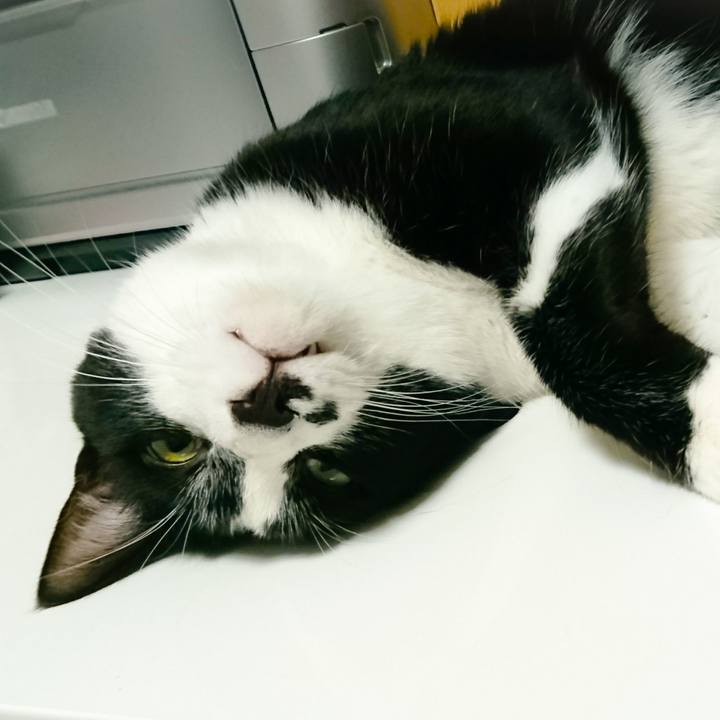 0b3622dd f9d8 4d1d be1a 01b2d0b839d6