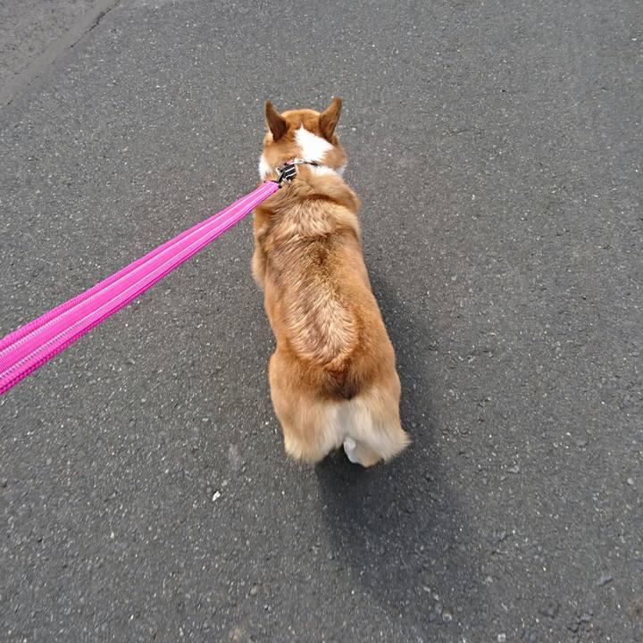 0b3633c6 e75c 417a 9b16 905e389f0891