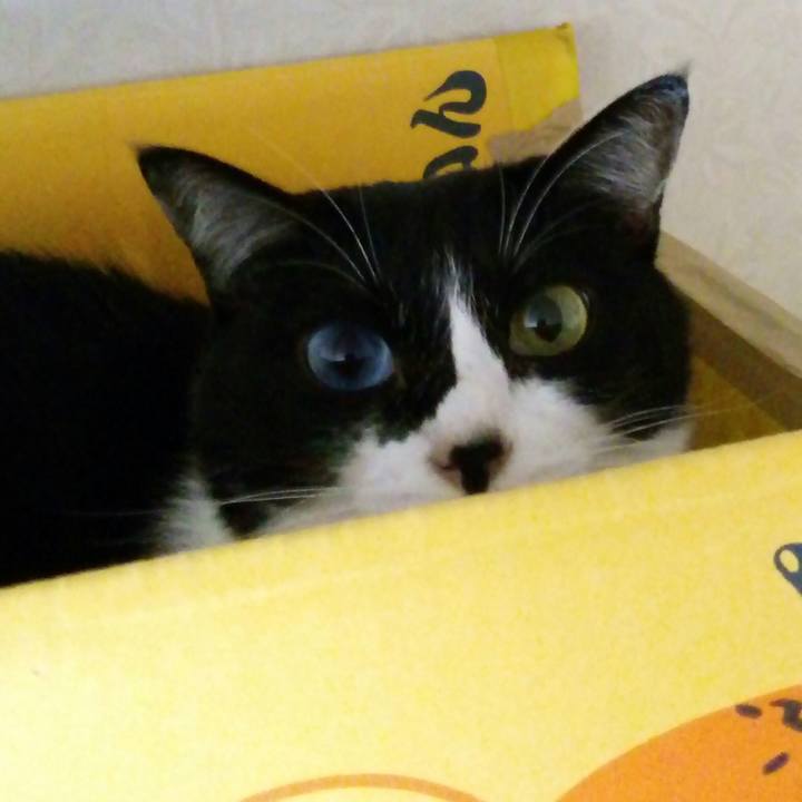 0b365195 5bfa 44e0 aeb0 91018a136fd0