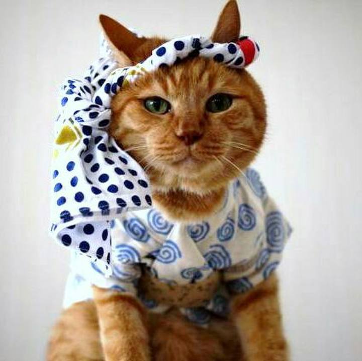 0b36b8f6 6a08 4330 a7c2 fa703d423932