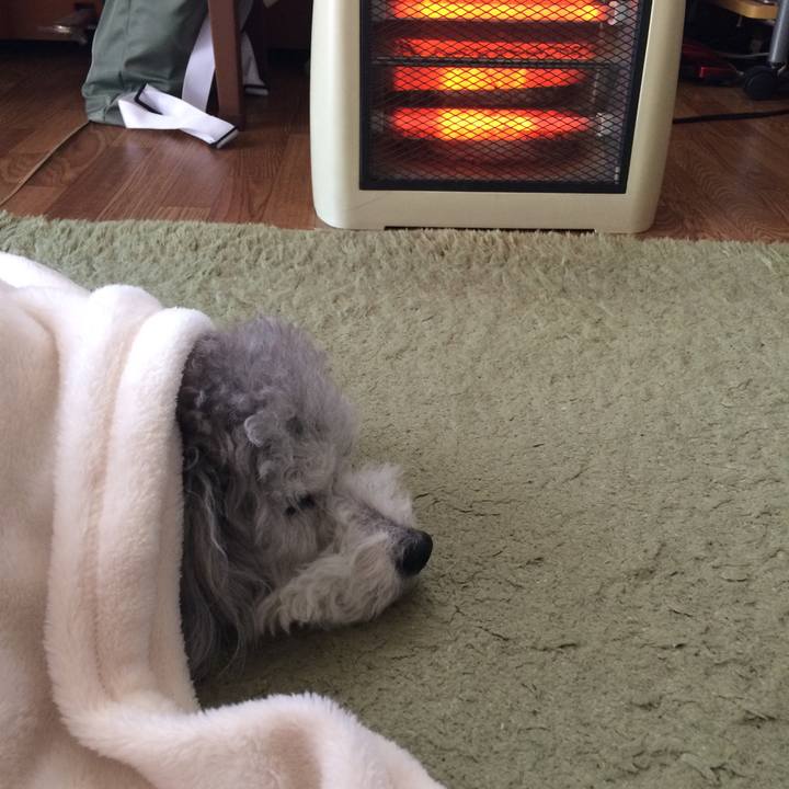 0b37046c 95b5 46cf a0d1 e5fc1d6ef7c8