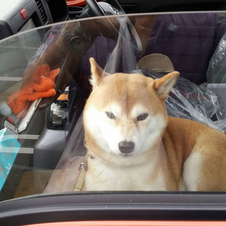 0b3746cf 2217 45cc 93a5 e4a9fc11b1ef