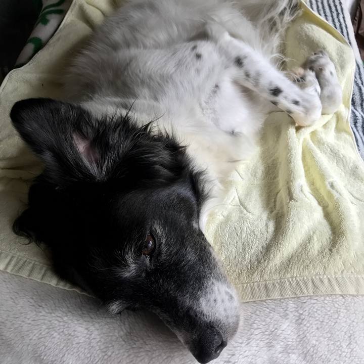 0b376fa9 ea84 45d4 9080 f9375229f8fa