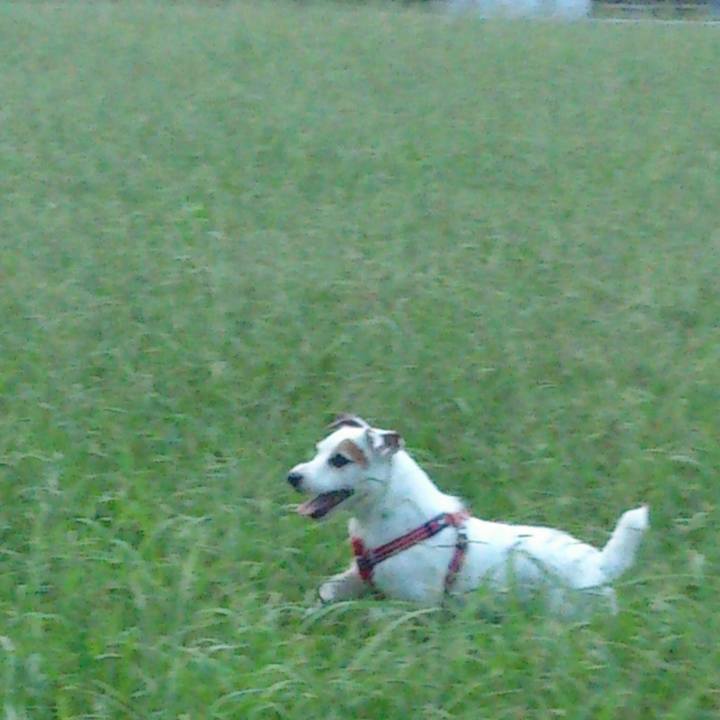 0b38305d fbd7 4633 8709 c5fba8d0f727