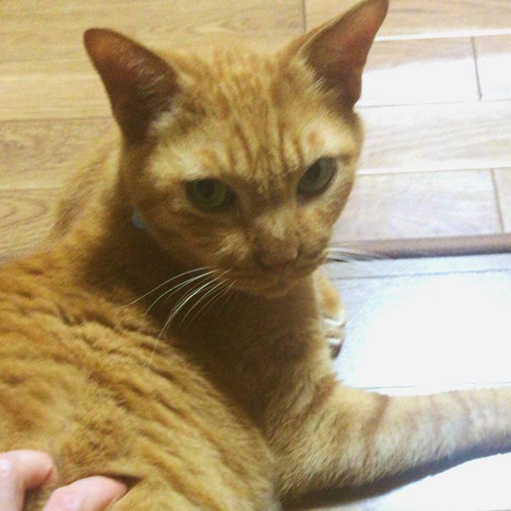 0b383c8a 9df3 4f8a 8871 1d55fccc5f20