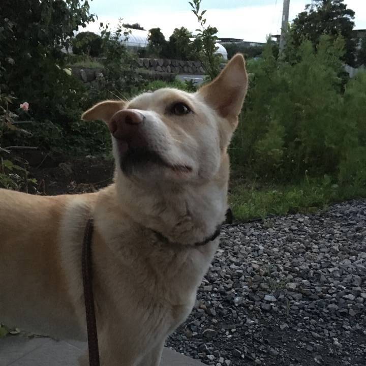 0b3844e7 70eb 41a1 8862 fe3257599096