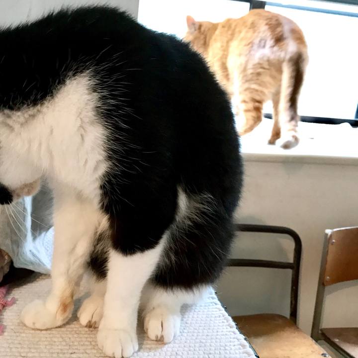 0b389f23 6a4c 4913 98f3 6a50b0491665