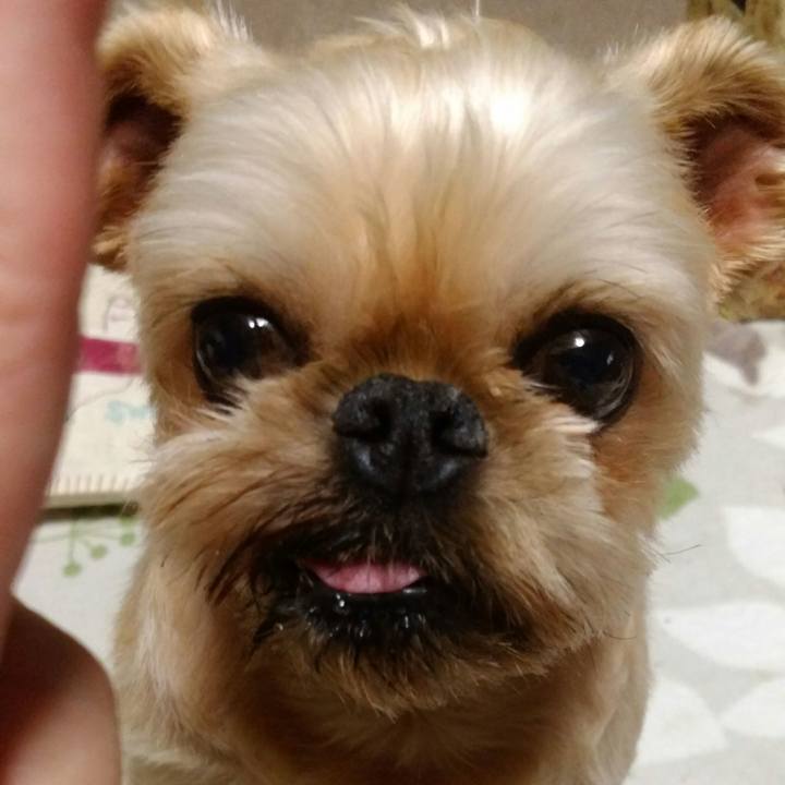 0b38b2b9 6b40 471d 9489 ff906fda7031