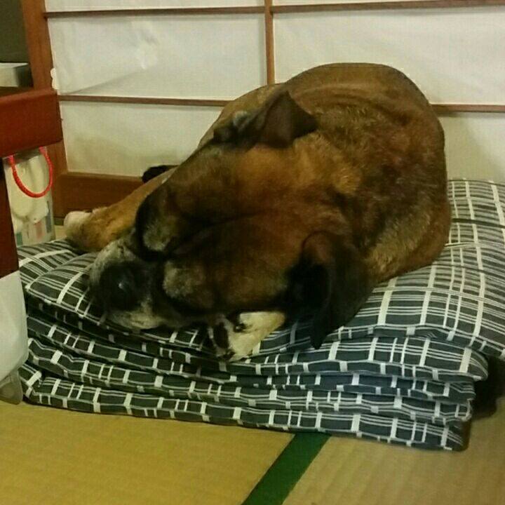 0b3902cb b1ac 4829 a1fd 0470730b2522