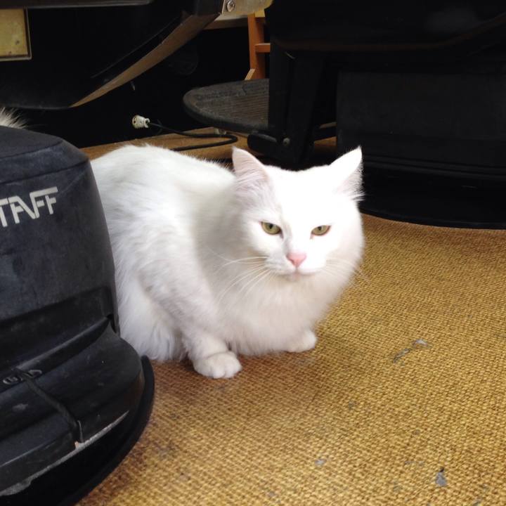 0b39a526 b082 4e48 b415 8ff567dbe560