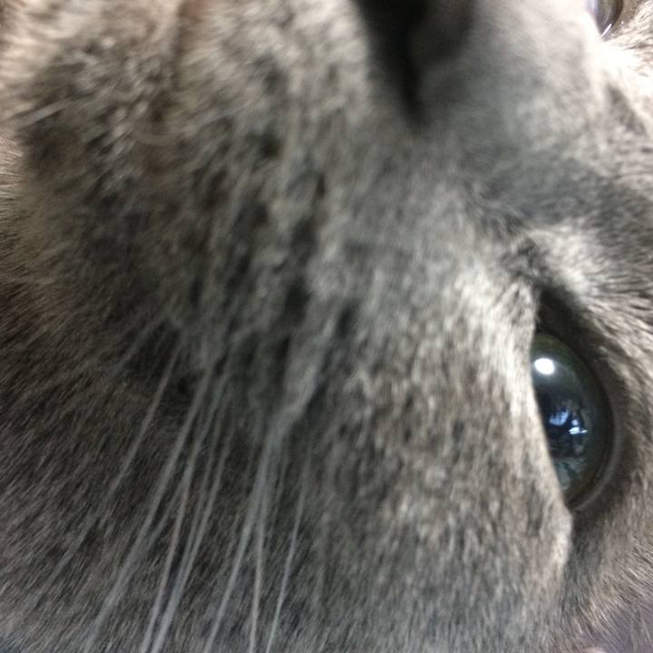 0b39c377 a724 4f96 8510 bc7e9ca1e95a