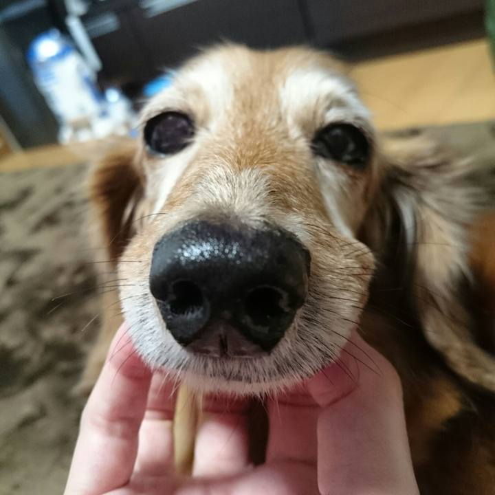 0b3aa0a7 8693 4ef5 bc37 1d1d319dff6a