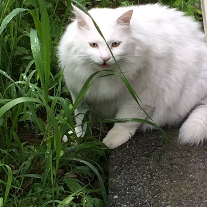 0b3ac009 9935 44da 84c5 eb8022dd0377