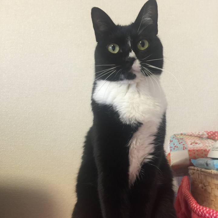 0b3ae0c8 5856 4e2d 86cc 1d844e90c729