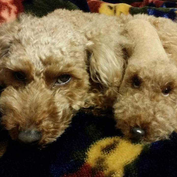 0b3b968b db69 468b 90e9 65f619769c60