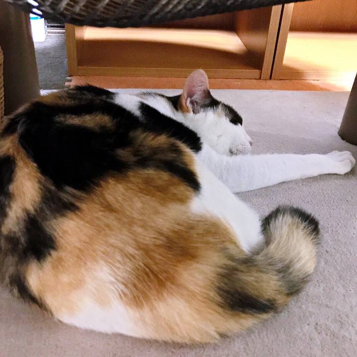 0b3c458e 9b71 449e ac0f 48e85795d08f