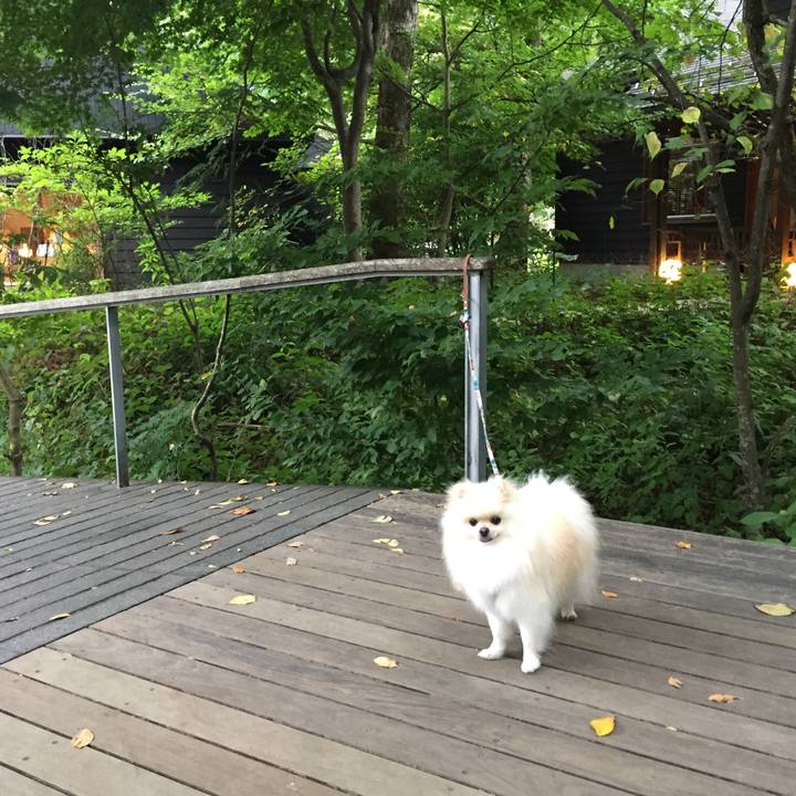 0b3c798b 1aa4 43c8 a615 5fd700914004