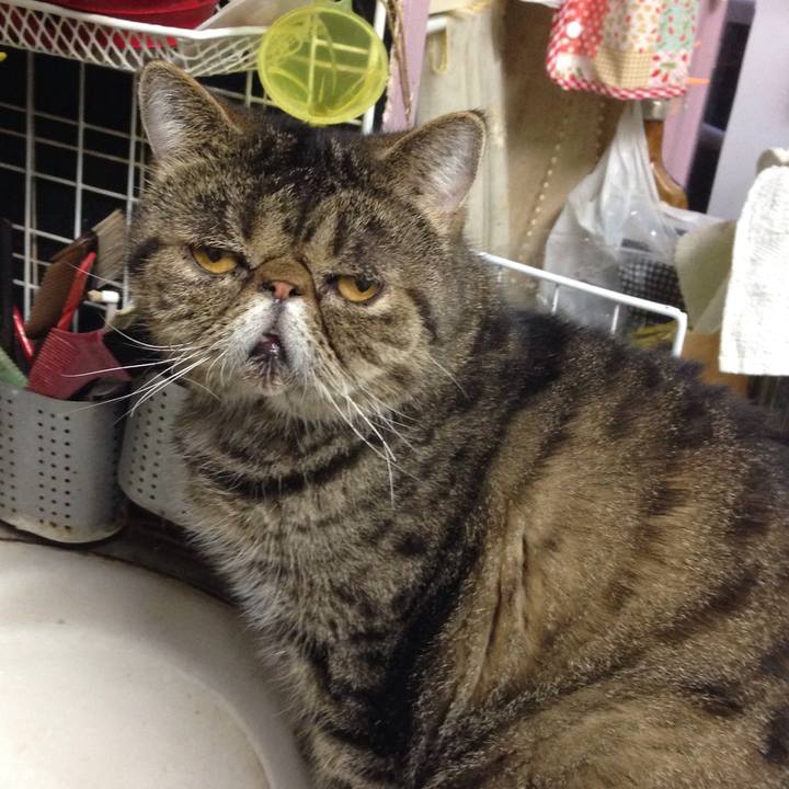 0b3cd354 a341 474f 8c45 cbbdc468ab88