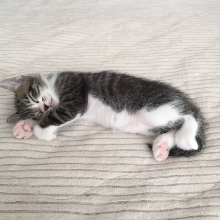 0b3cfd92 142e 46ec 9b99 ea622c31052c