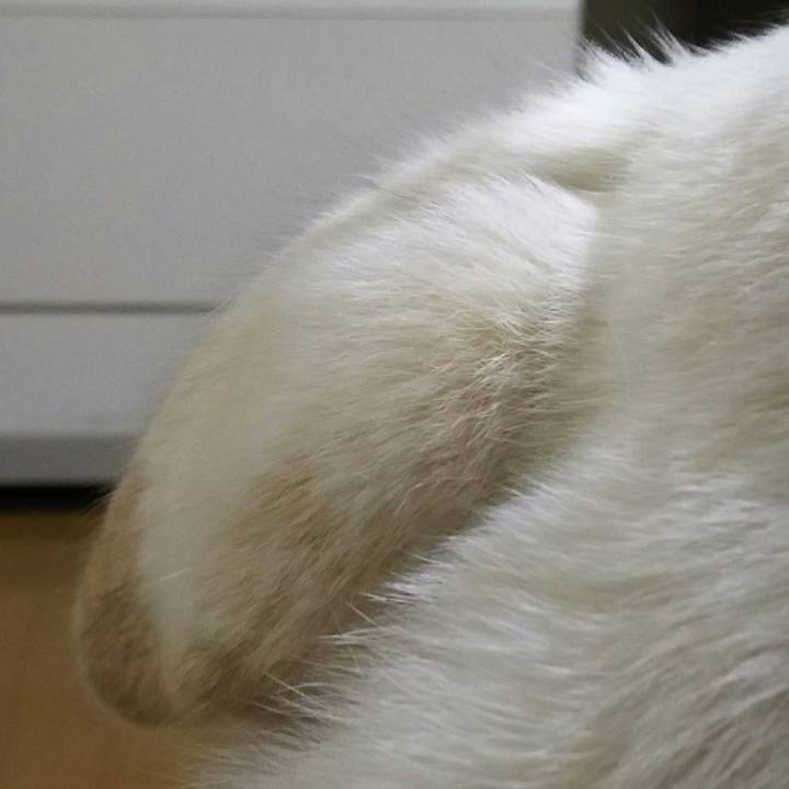 0b3ee0d9 42d3 4538 b00c a4b63d04d8f5