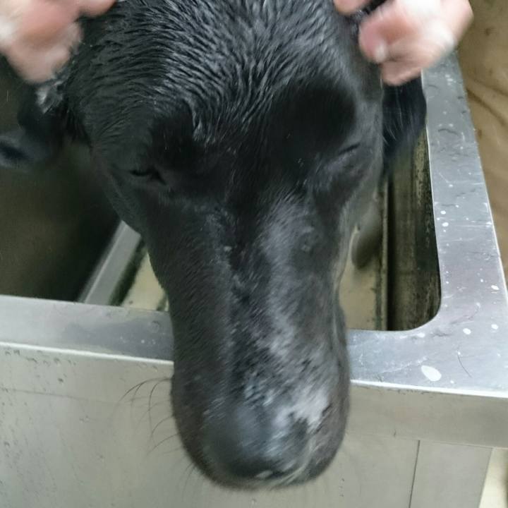 0b3f23d9 0293 4f13 82b9 408e3c158e9f