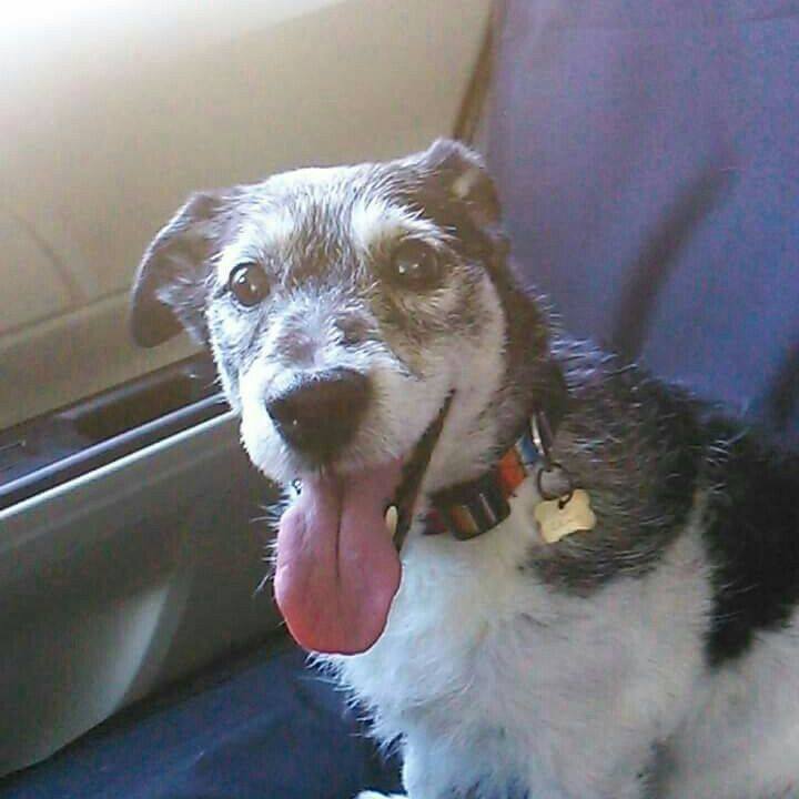 0b3fb570 ae43 477a ba63 c03505c33879