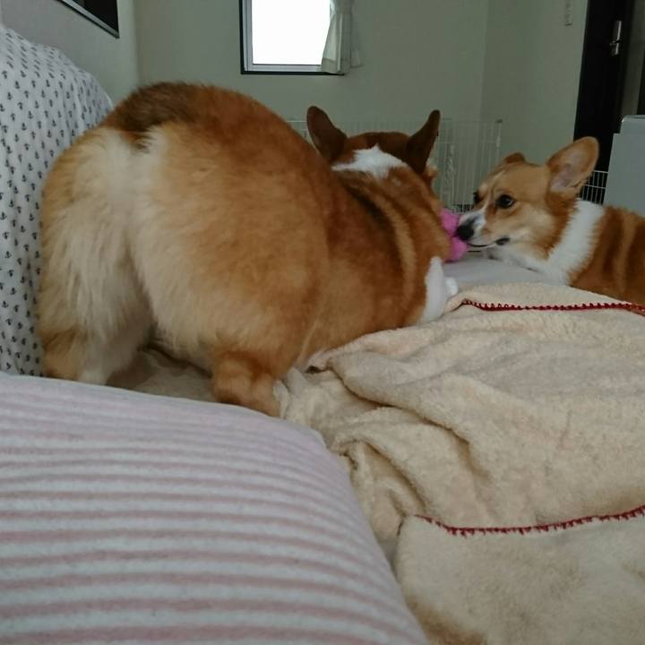 0b3fcc74 5252 4c3a ae39 ecf85931feff