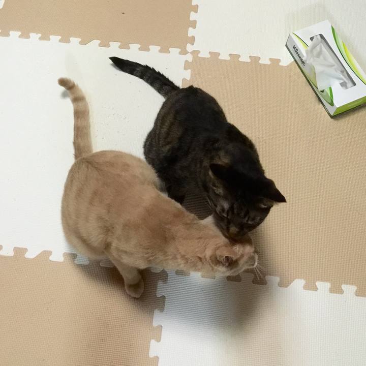 0b403f4f 771c 4a18 a8c6 15b8cf1e178d