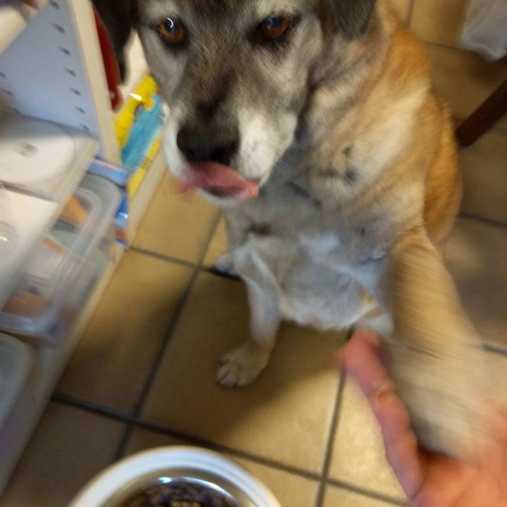 0b40a484 b128 47a4 b90a ec6004a8ba37