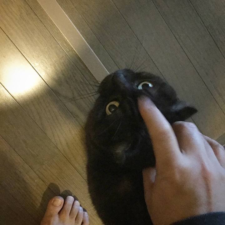 0b410db0 7276 4103 967e 1d00ba7e1c55