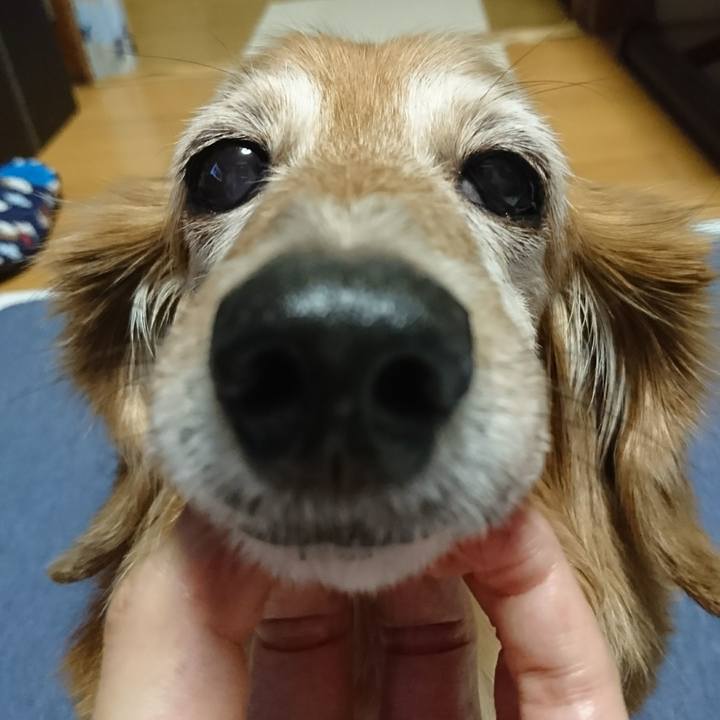 0b41215f e40f 440e b355 00f3945b3e3b