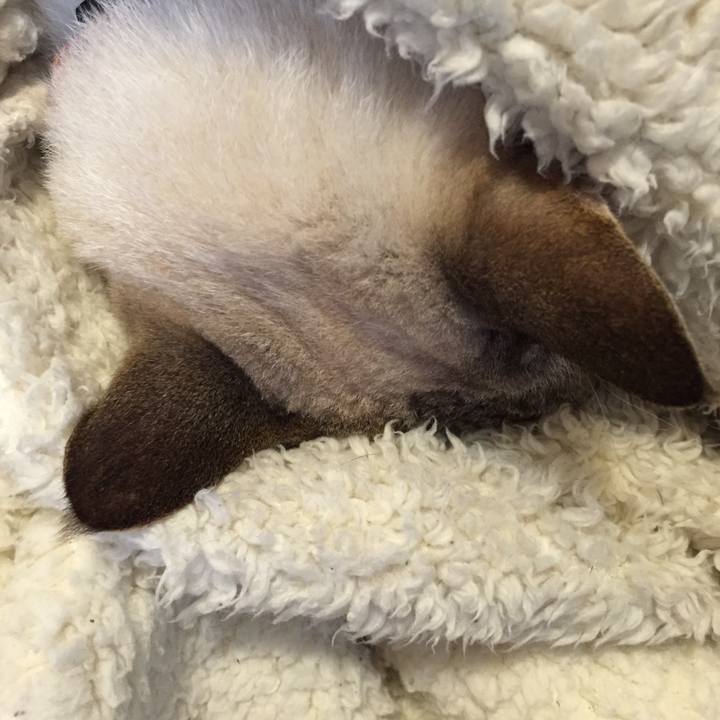 0b4127f5 84e4 4249 bad4 66e54358e7c7