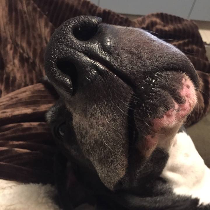 0b41c079 7ec9 4ce4 8dcc 9659eab96a16